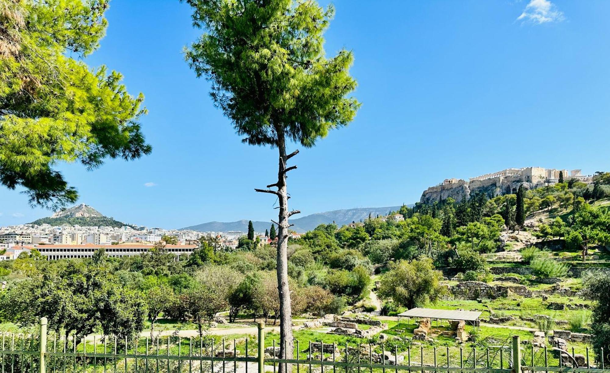 Yuna Penthouse, 100Sqm Private Rooftop Terrasse, Acropolis By Foot Atenas Exterior foto